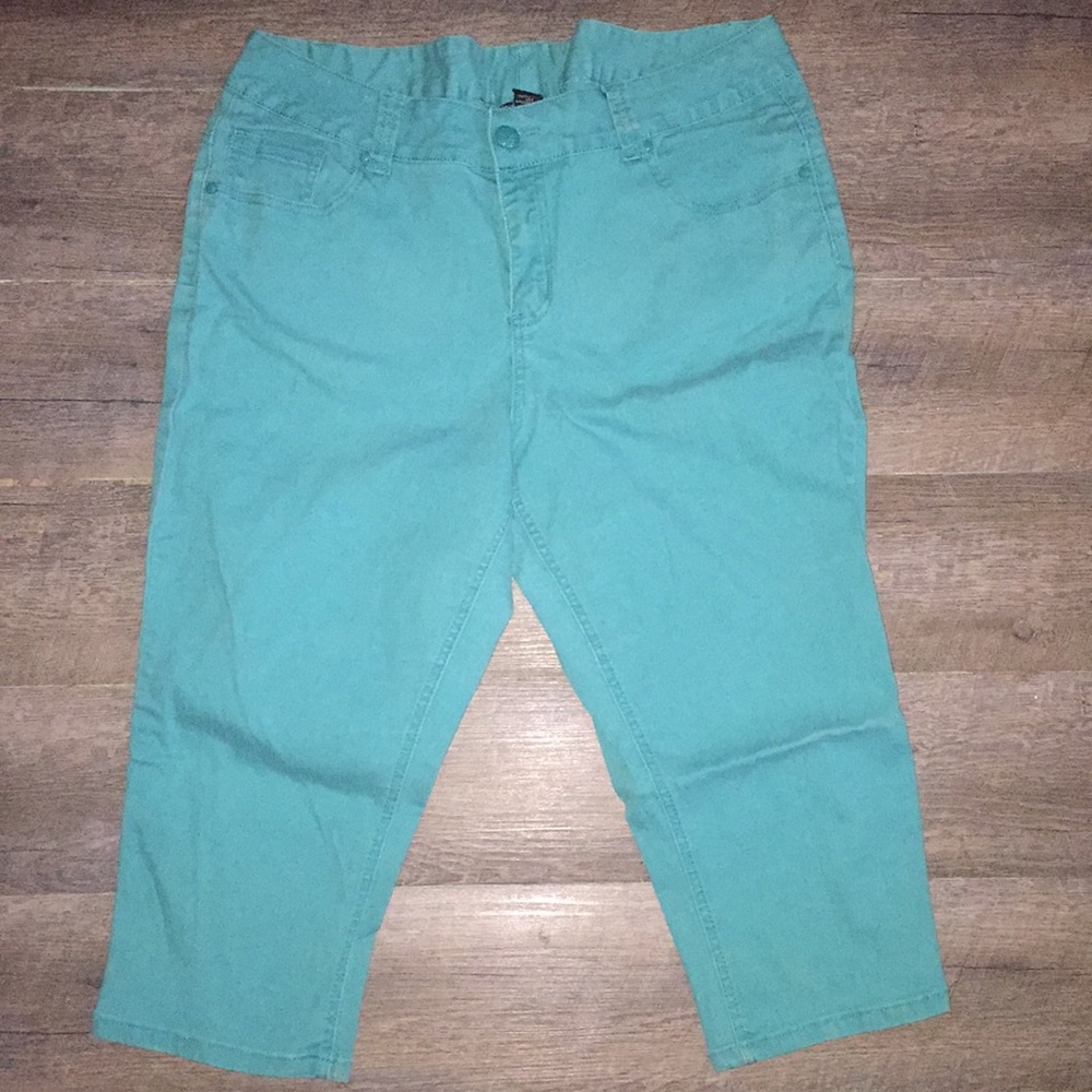 Lane Bryant Capris 18 - Picture 3 of 6
